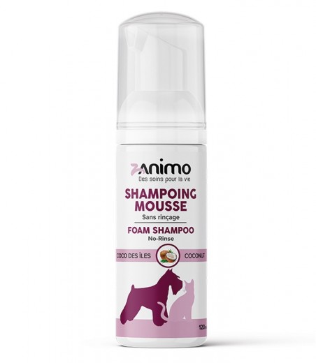 SHAMPOING MOUSSE
