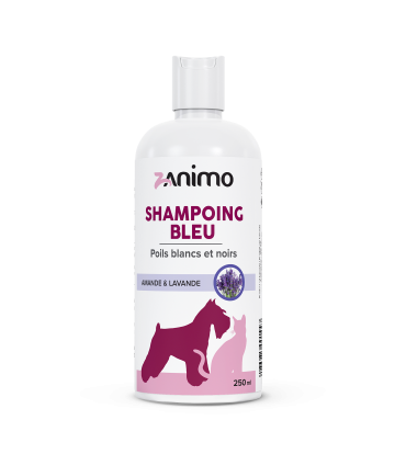 SHAMPOING BLEU