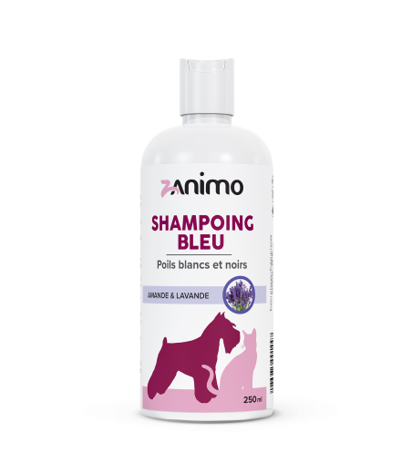 BLUE SHAMPOO
