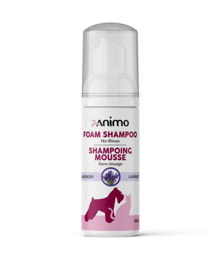 FOAM SHAMPOO