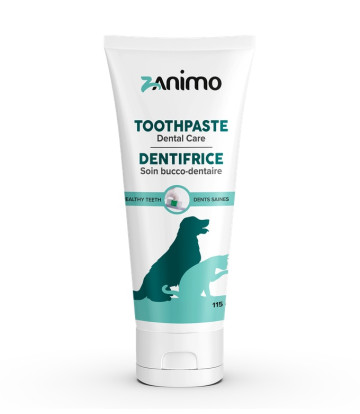 TOOTHPASTE