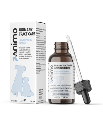 URINARY TRACT