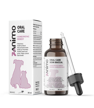 ORAL CARE