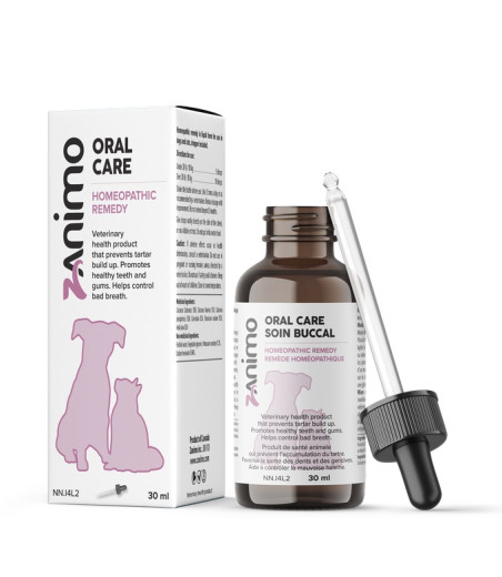 ORAL CARE