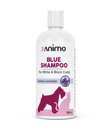 BLUE SHAMPOO
