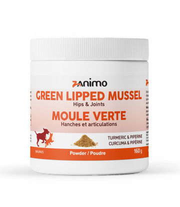 ARTICULATIONS MOULE VERTE