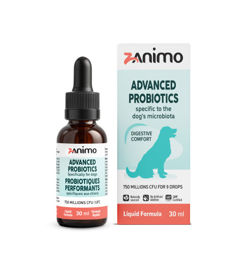 DOG ADVANCED PROBIOTIC