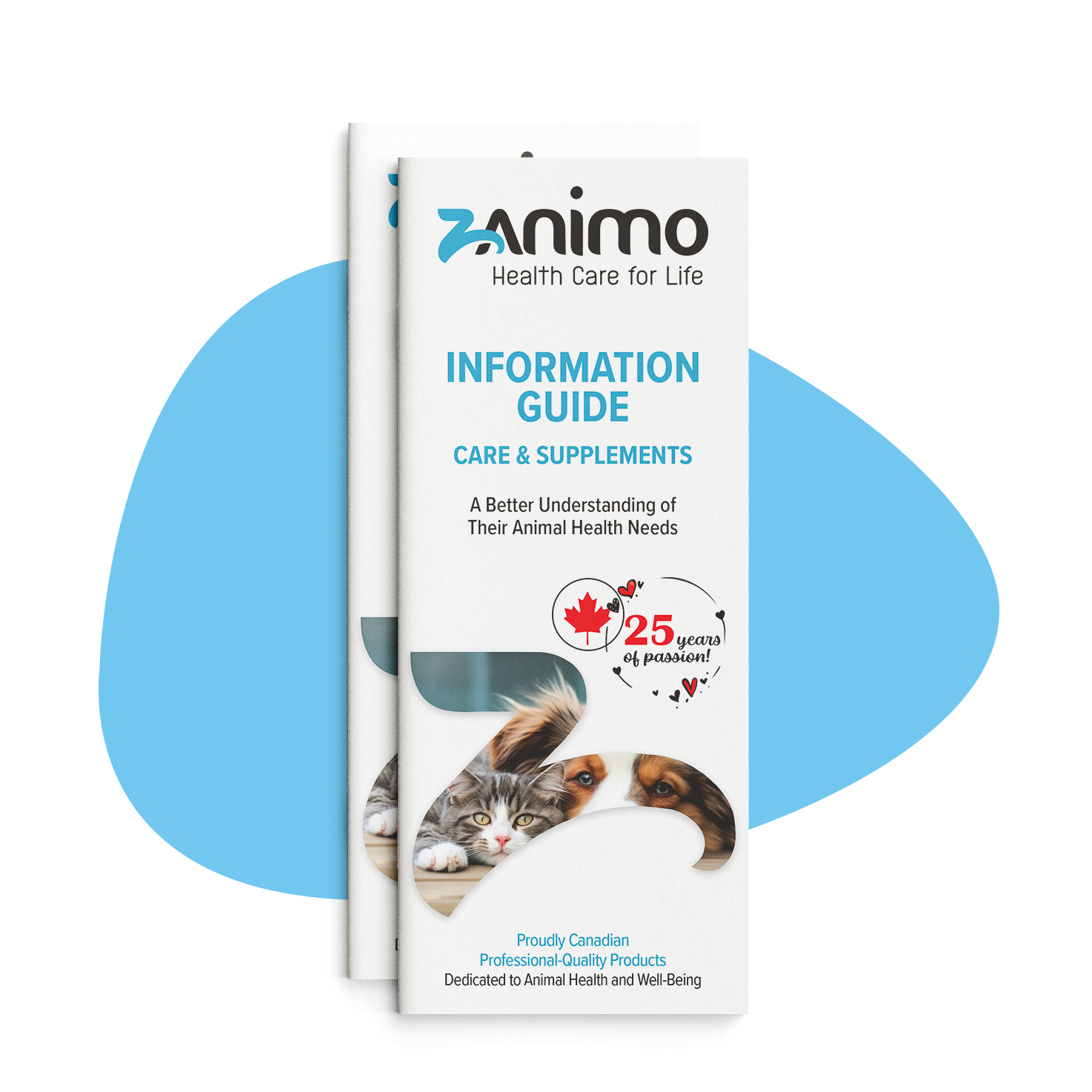 Zanimo brochure