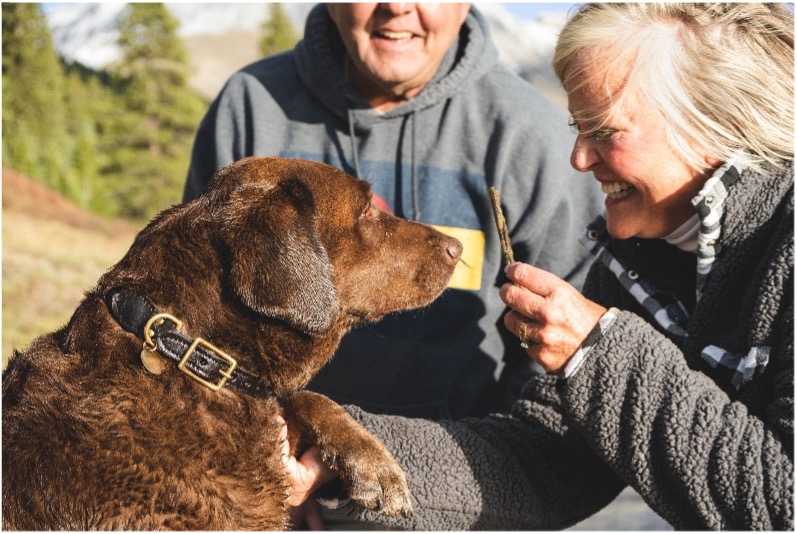 A dog in the company of 2 people