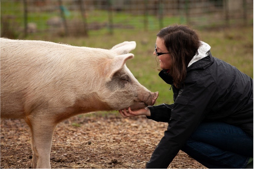 Un porc en compagnie d'une femme