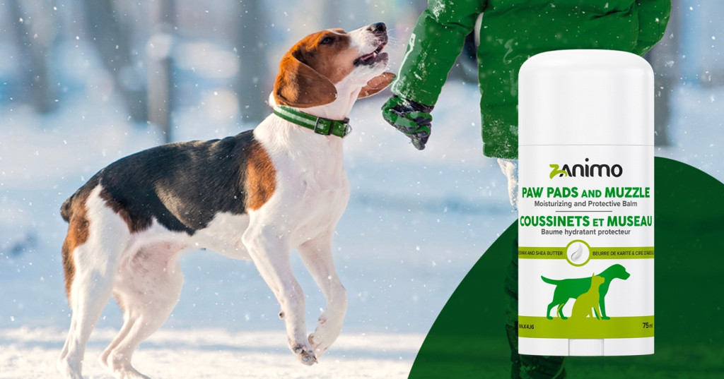 Cet hiver, offrez du réconfort à chaque pas