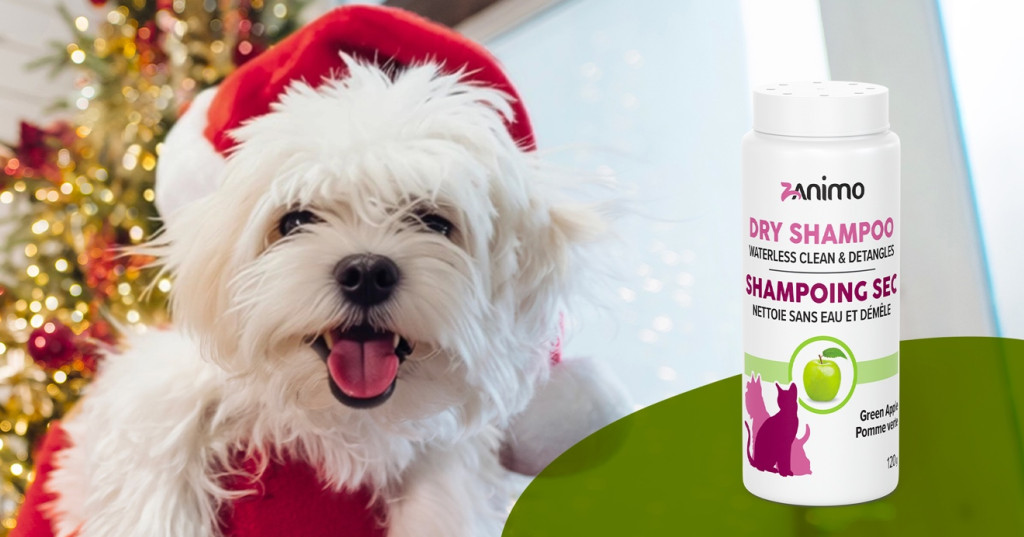 Tout propre pour les Fêtes… sans bain