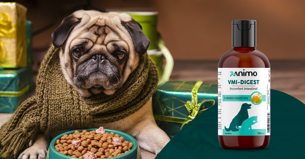 Décembre : un mois intense pour leur système digestif
