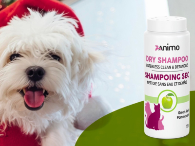 Tout propre pour les Fêtes… sans bain