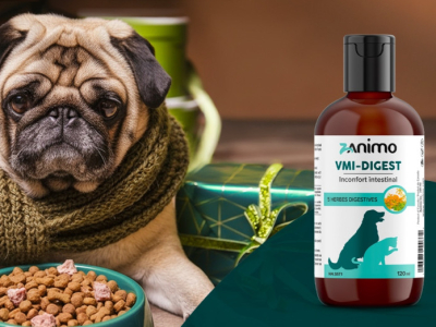 Décembre : un mois intense pour leur système digestif